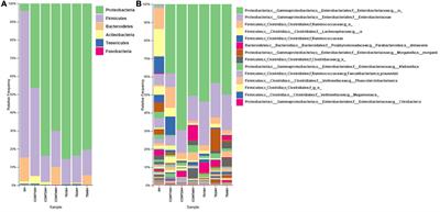 Nutritional composition, heavy metal content and in vitro effect on the human gut microbiota of Talitrus saltator, an underutilized crustacean from the Atlantic coast